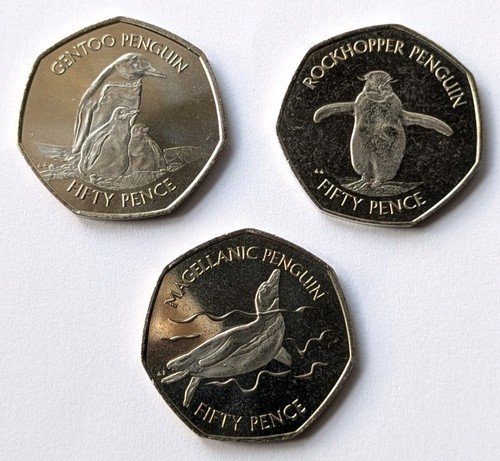 2020 falkland islands penguin - 2020,