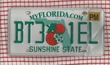 FLORIDA rough condition