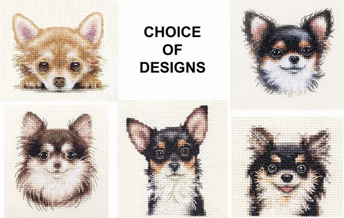 Chihuahua dog full - chihuahua, counted