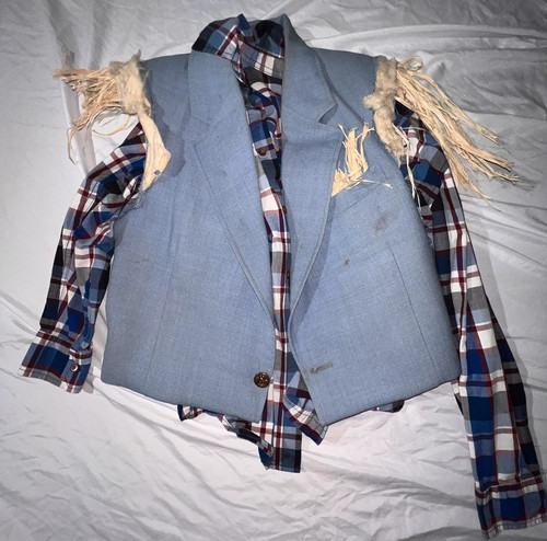 Wizard scarecrow costume - wizard, of