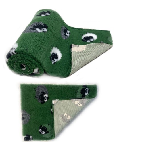 Sheep green field - sheep,