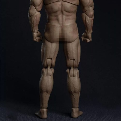 Scale male muscular body - male,