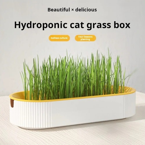 Hydroponic cat grass - hydroponic, growing