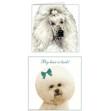 poodle dog Card cute funny