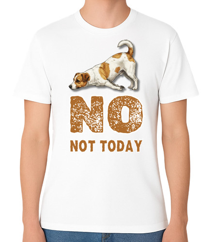 Jack russell funny - jack, dog