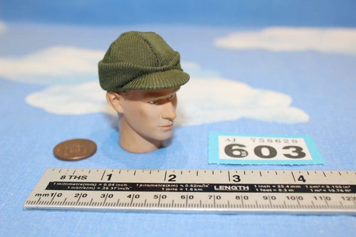 Did dragon dreams 6 scale - in,