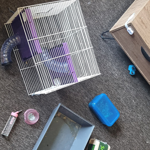 Tier plastic small - tier,