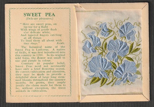 Kensitas silk flower medium - silk,