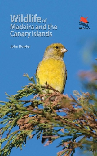 Wildlife madeira and the - madeira,