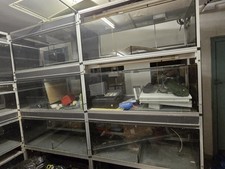 shop vivariums for all reptiles