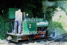 Peter Narrow Gauge Steam