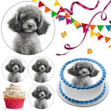 Poodle Dog Cake Topper Party