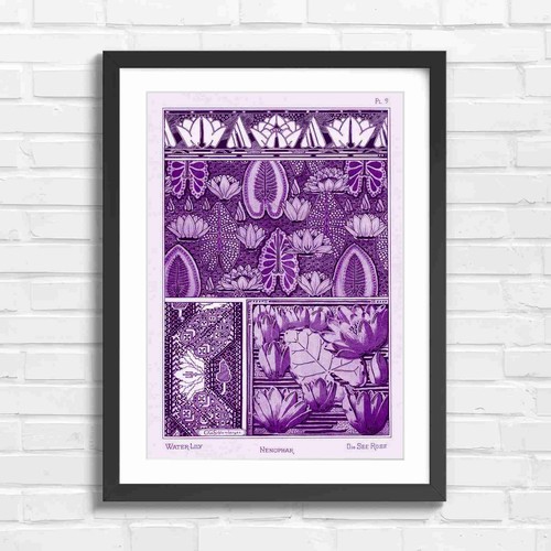 Art nouveau water lily - art,