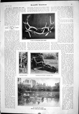 Old Print 1905 Scientific