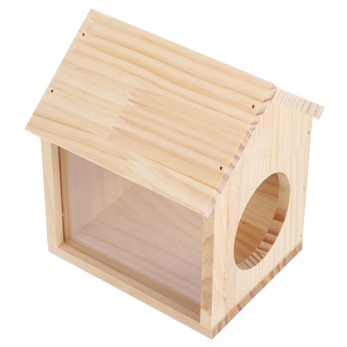 Guinea pig hideout - guinea,