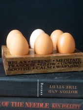 Quirky Home Decor  Kitchen Accessories Pantry Storage Egg holder