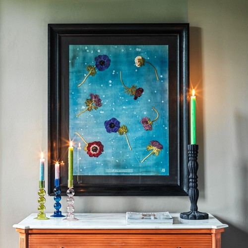 Graham and green anemone with - graham,