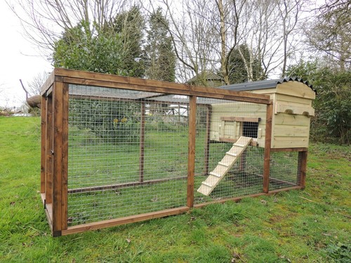 Brecon poultry chicken rabbit - poultry,