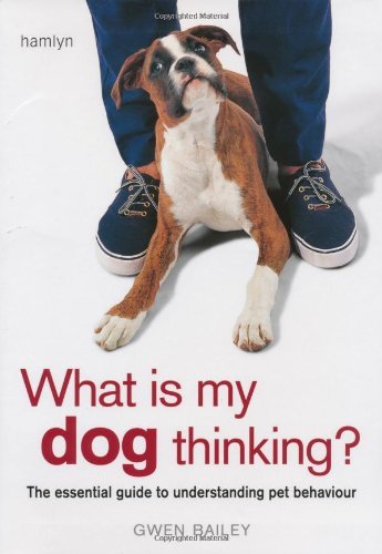 What dog thinking the - is, my
