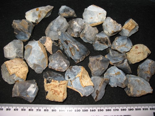 Mesolithic neolithic blue - mesolithic,