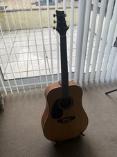 Ashton Electro Acoustic Model