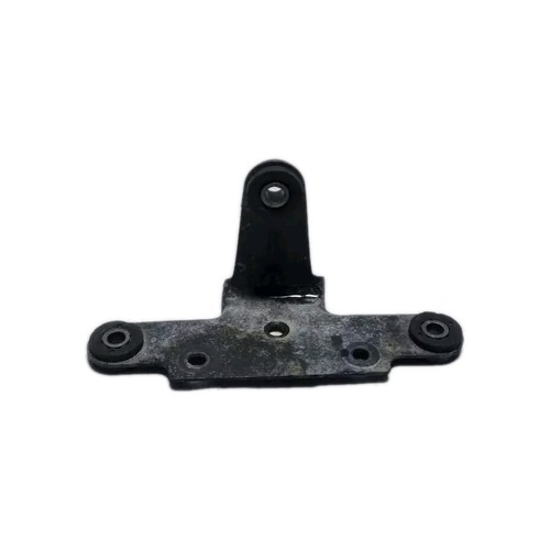 Rear light support plate - rear,