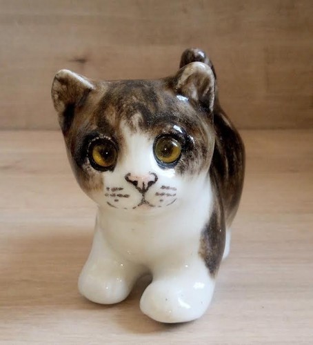 Winstanley tabby kitten size - winstanley,