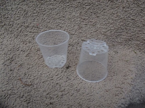 Clear orchid pot 6cm - 10,