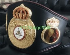 WBA Regular Champion Boxing