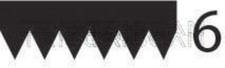 V-Ribbed Belt Black TRISCAN
