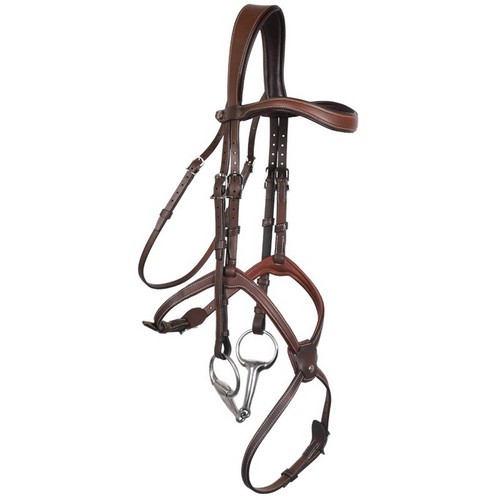 Antares origin anatomic figure - origin,