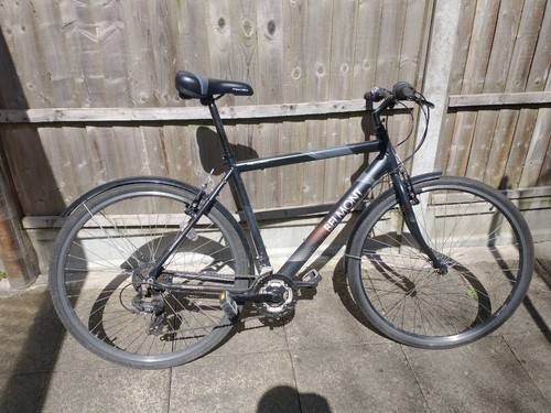 Apollo belmont men - men's, mountain