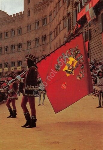 Postcard siena palio - postcard, il