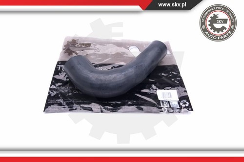Esen skv 43skv208 charger - esen, air