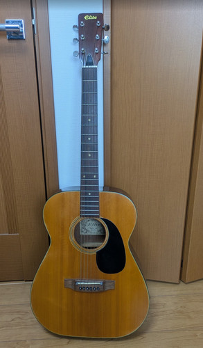 Takamine elite 120 - takamine, vintage