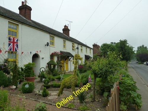 Photo 6x4 splendid - 6x4, topiary