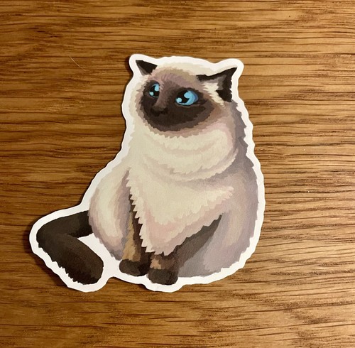 Himalayan cat rag doll - himalayan,