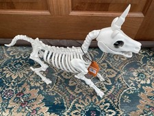 Halloween  Skeleton Plastic