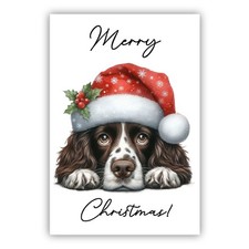 Springer Spaniel Christmas Dog