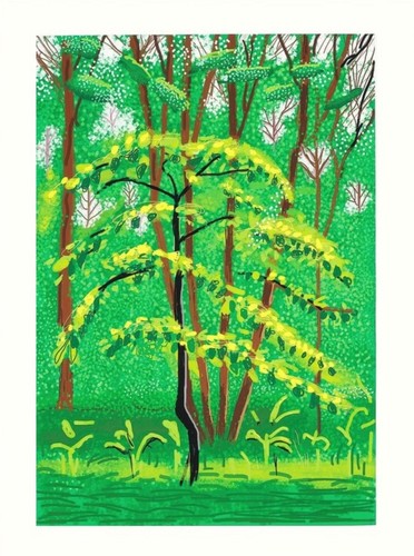 David hockney may - hockney, 19