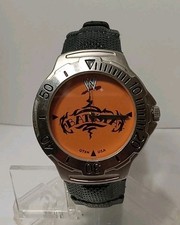 WWE Wrestling Watch By Avon