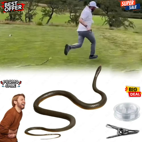 Fake rubber snake prank - snake, toy