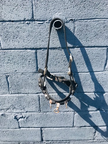 Black canvas lunging cavesson - black,