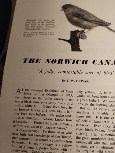 Sk313 ephemera 1950s article - sk313,