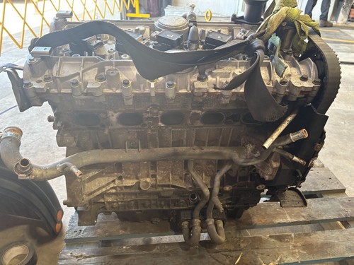 Ford focus st225 - engine, 126000