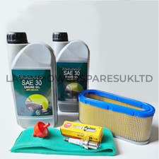 Service Kit for Briggs &