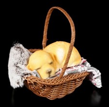 Labrador Retriever Goldie Puppy Dog Figure Sleeping in Basket Decor Breeder