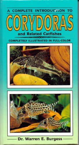 Complete guide corydoras - guide, to