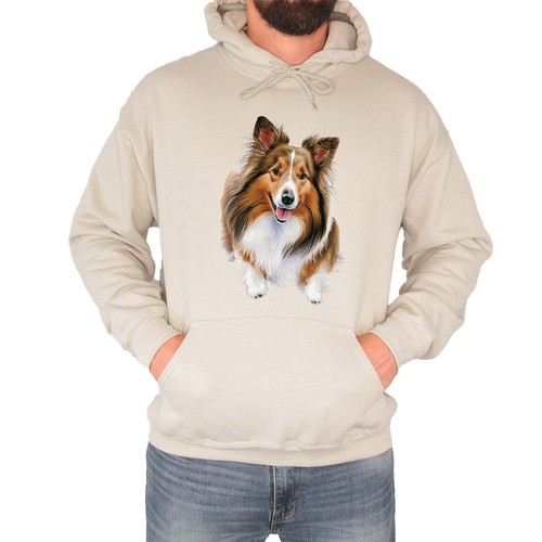 Cute shetland sheepdog - shetland,