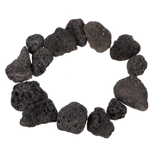 Aquarium lava rock succulent - aquarium,
